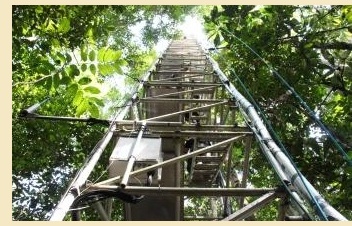 Torre de monitoreo climatolgico en la Amazona